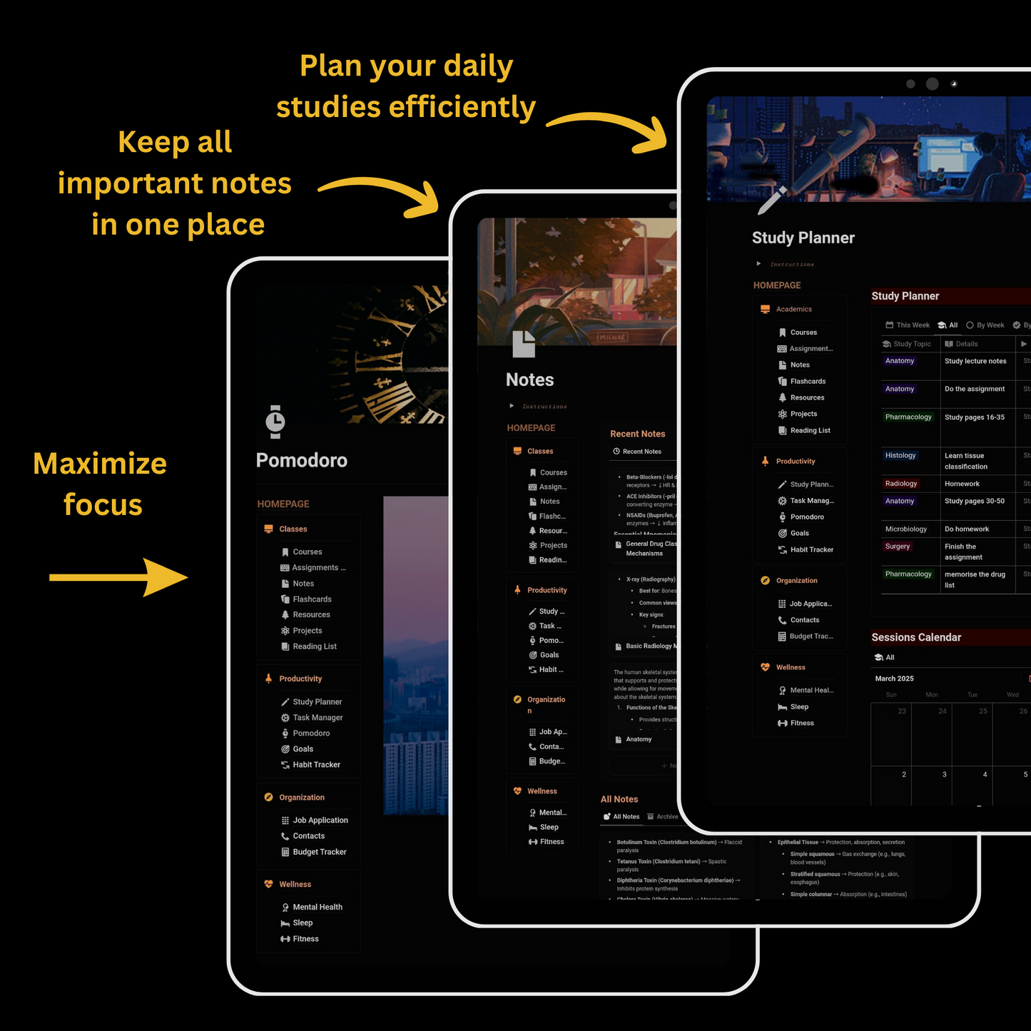 Ultimate Med Student Success Hub: All in One Notion Templates
